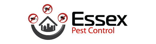trusted pest control essex